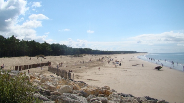 Plage des pins de Cordouan