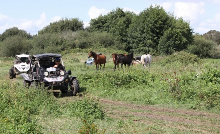 Buggy Loisirs